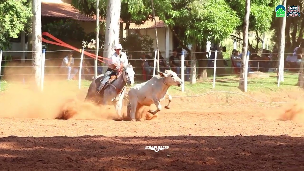 JO&Atilde;O VITOR SOARES NO P&Eacute; DO BOI