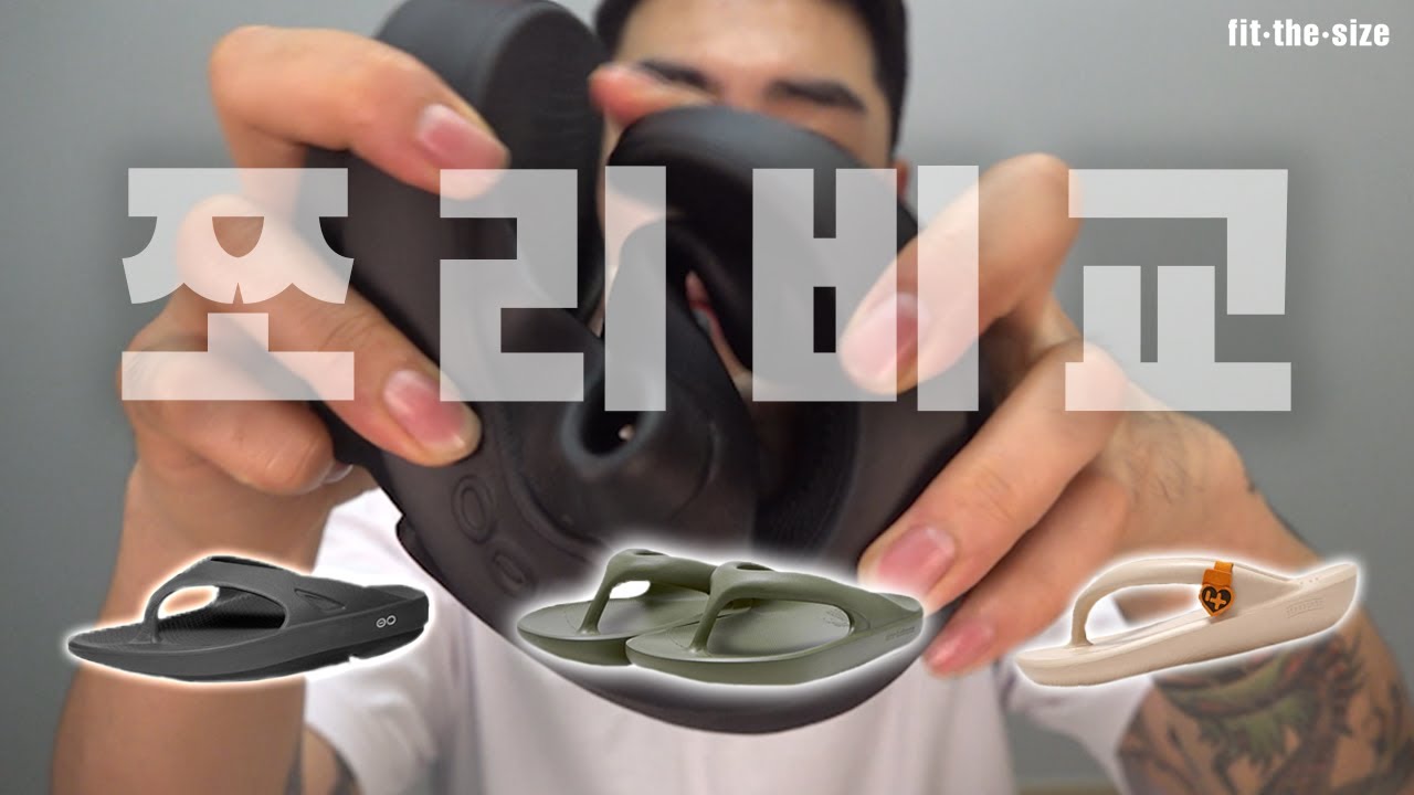 요즘 잘나가는 쪼리 3개 디뗴일한 비교 분석 리뷰