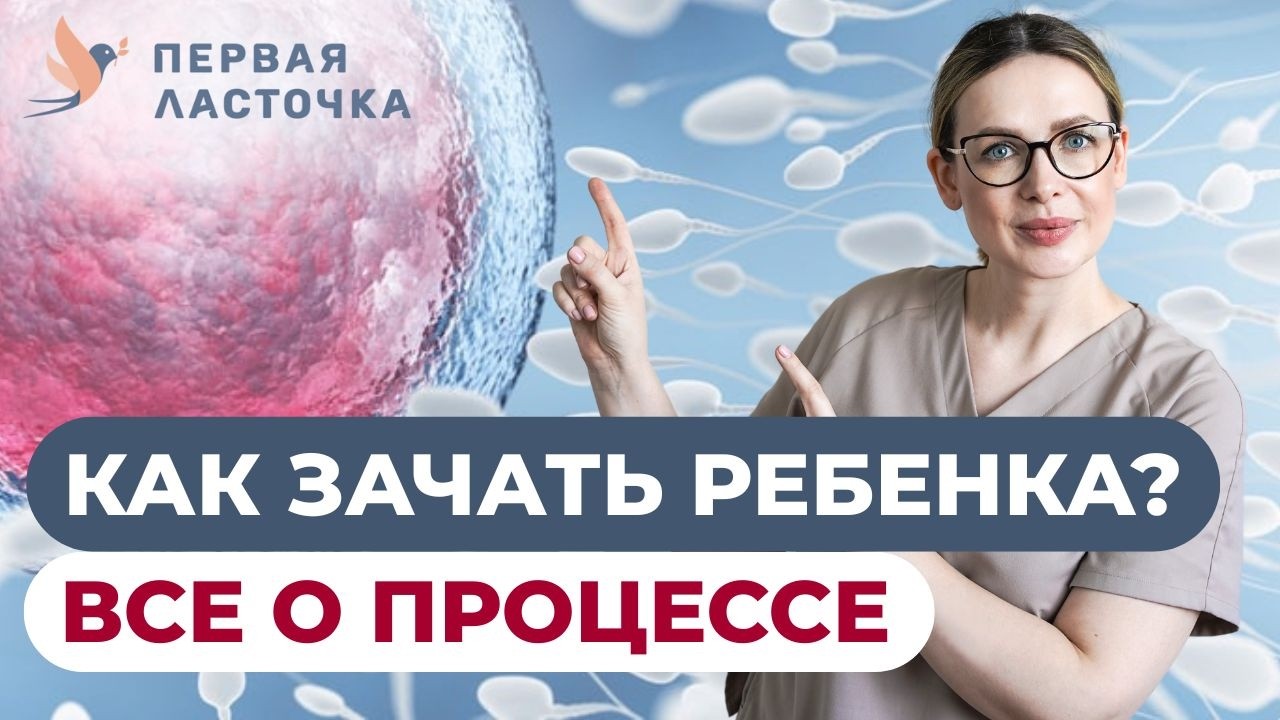 Как происходит зачатие на самом деле? Цикл, овуляция и позы