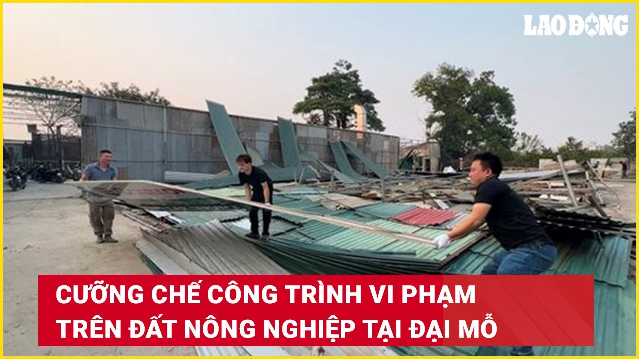 Cưỡng chế công trình vi phạm trên đất nông nghiệp tại Đại Mỗ | Báo Lao Động