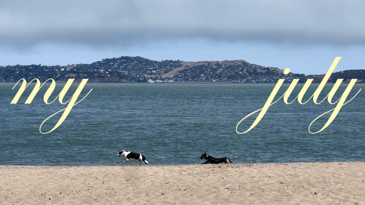turning 23, a weekend in sf, sweet summer moments