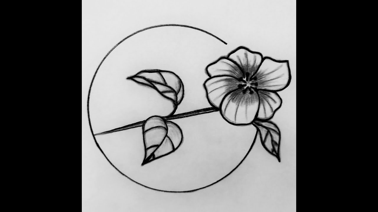 Pencil  drawing  of  a  flower  in  a  circle   /   Easy  flower  drawing