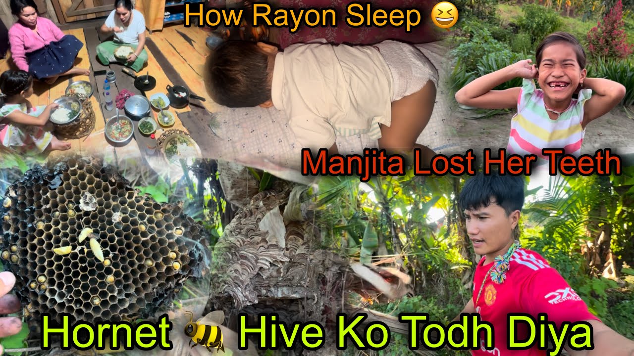 Found Giant Hornet 🐝 Hive in Garden || Hornet Hive Ko Todh Diya😳 || Village Life