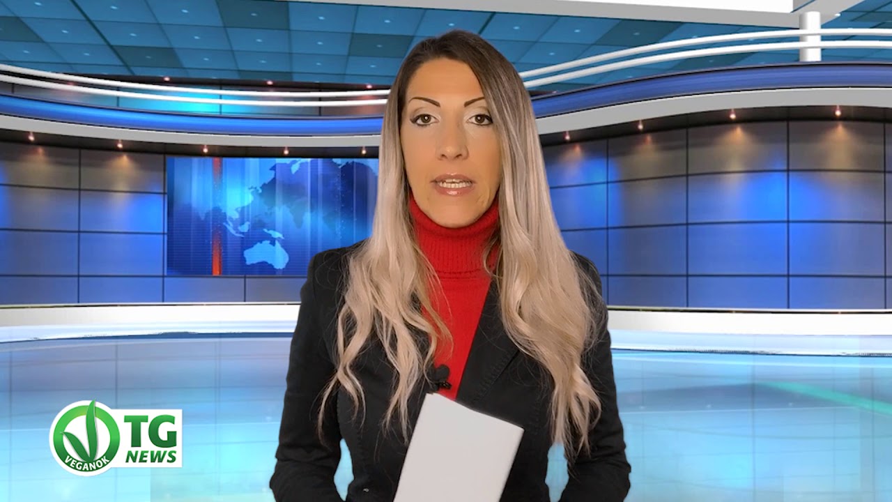 VEGANOK TG News 75° edizione