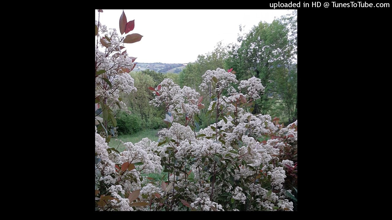 Épink - Series finale