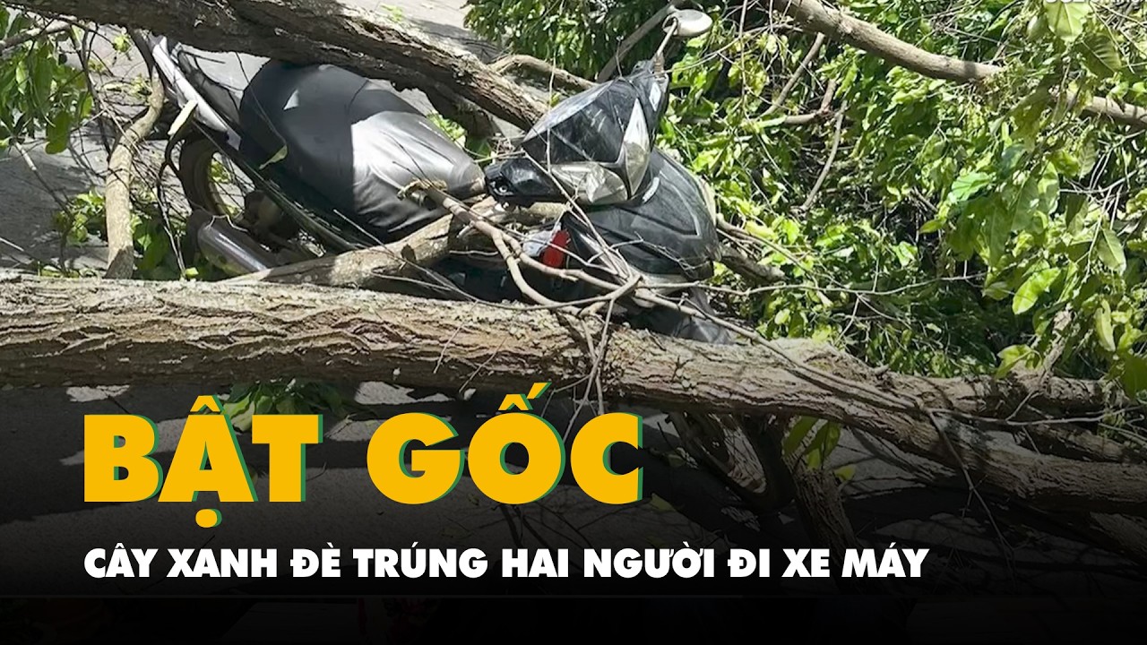 Khoảnh khắc cây xanh bật gốc đè trúng hai người đi xe máy ở Đắk Lắk