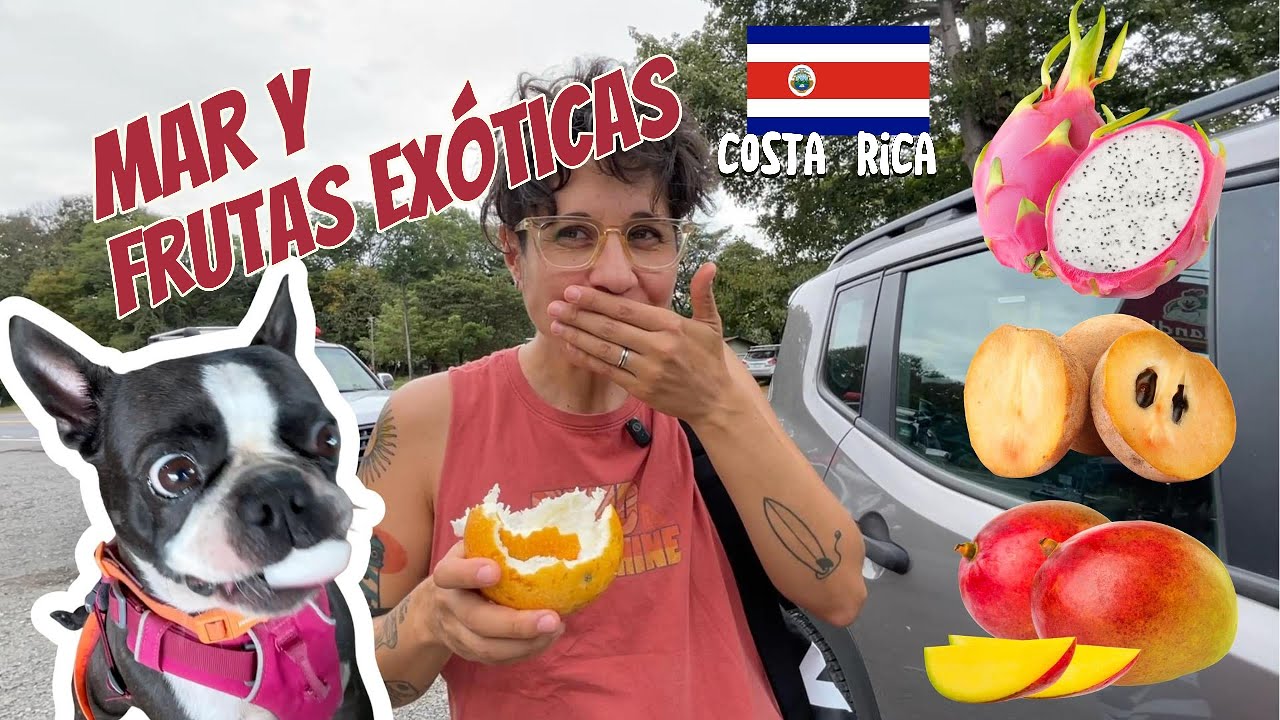 Costa Rica: Stand Up Paddle con viento, olas y frutas exóticas