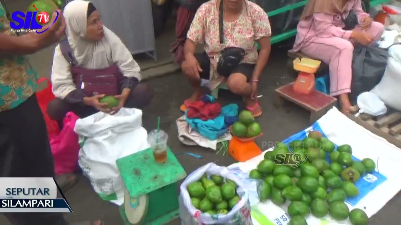 BERBISNIS BUAH ALPUKAT DI KOTA LUBUKLINGGAU