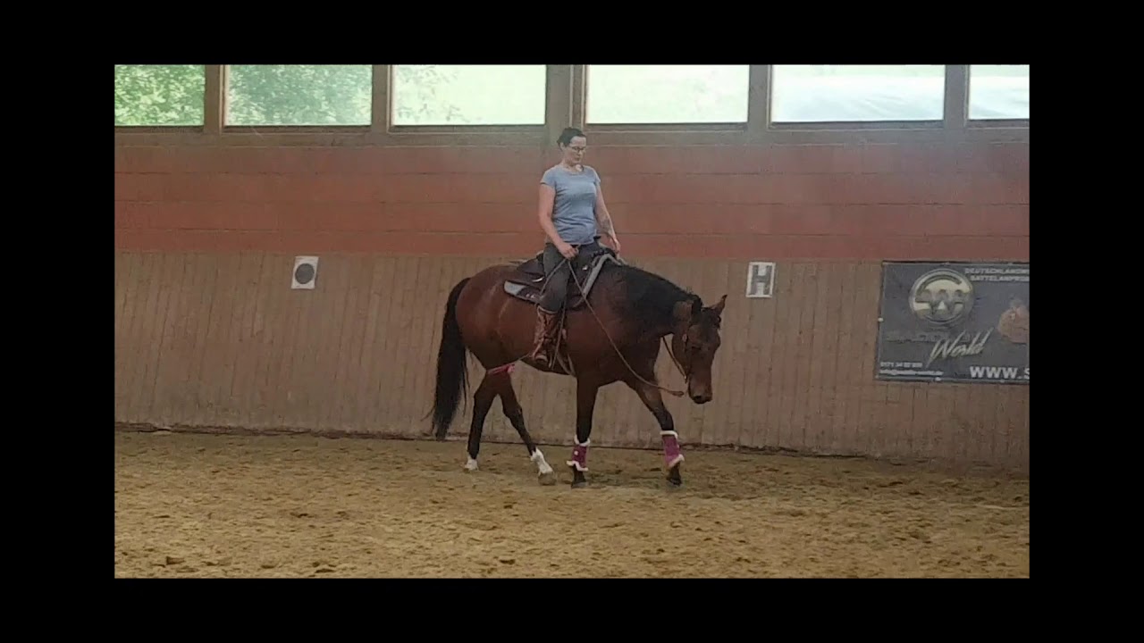 CrossfitHorses nach 2 Wochen