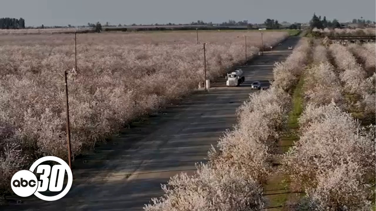 Some crop harvests in danger as Central Valley braces for storms