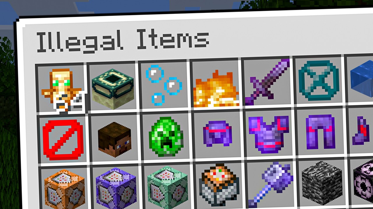 How I Collected Every Illegal Item in This Minecraft Server!