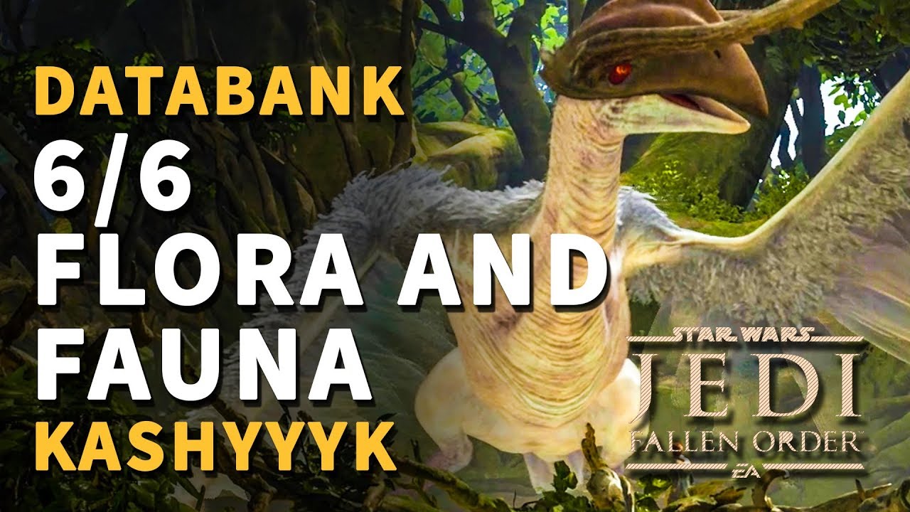 Flora and Fauna Kashyyyk All Databank Locations Star Wars Jedi Fallen Order