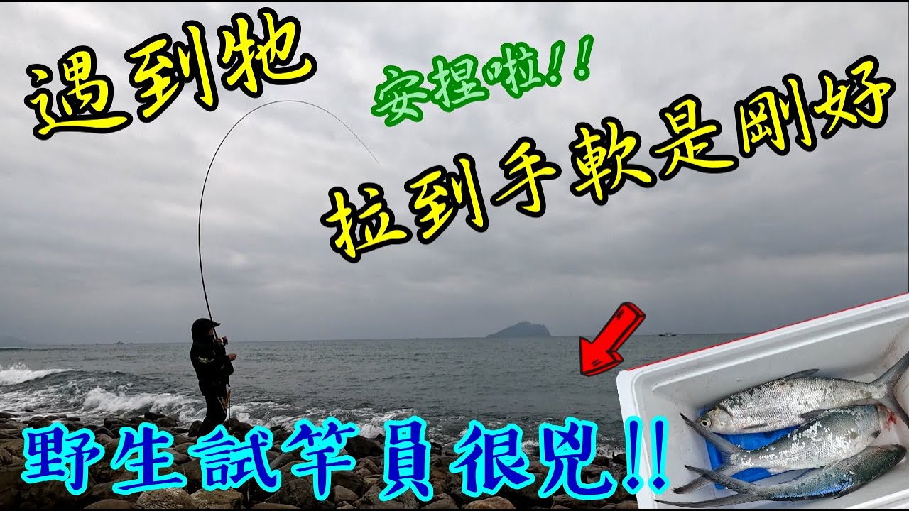 虱目魚開光新釣桿拉到爽歪歪   最火爆的野生試竿員  細竿細線搏虱目     #競技 Special IV 0.75 #虱目魚 #黑鯛  #磯釣 #競技4