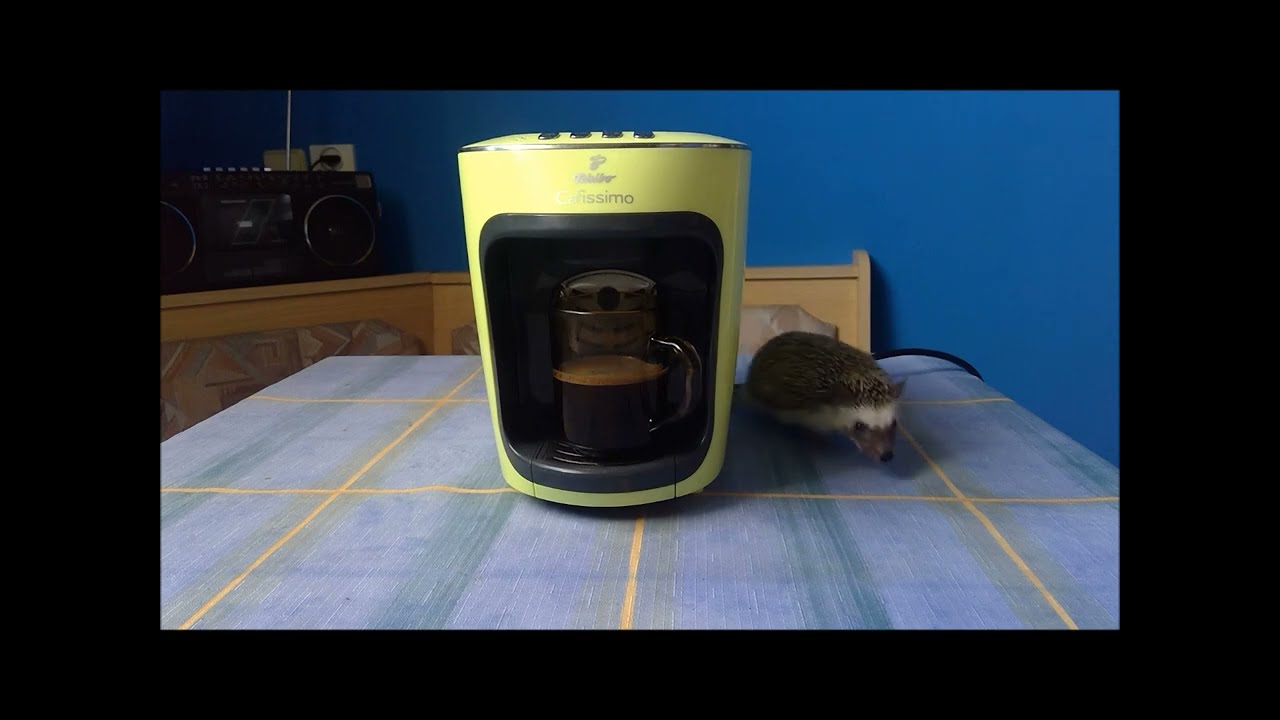 Coffee Machine Tchibo Cafissimo mini Salsa (Hedgehog Service)