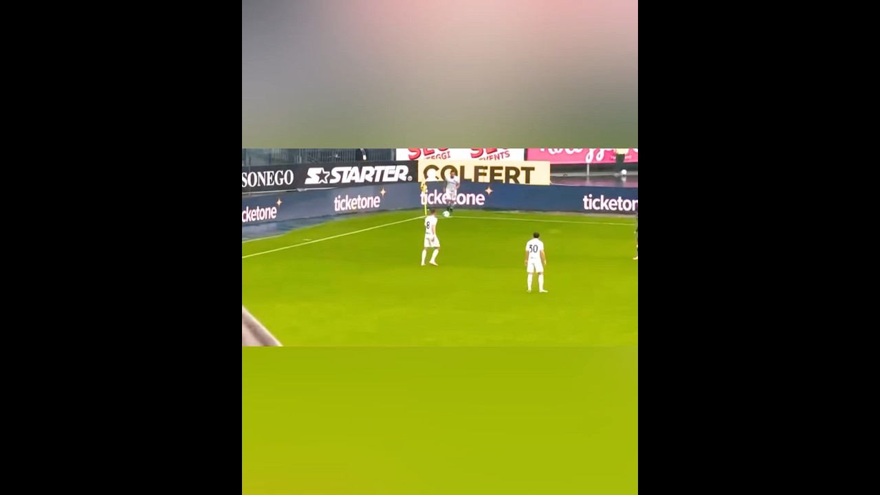VERONA - INTER 1.2 ZIELINSKI GIOVANE AUTOGOAL #serieA #verona #inter #sintesi #highlight