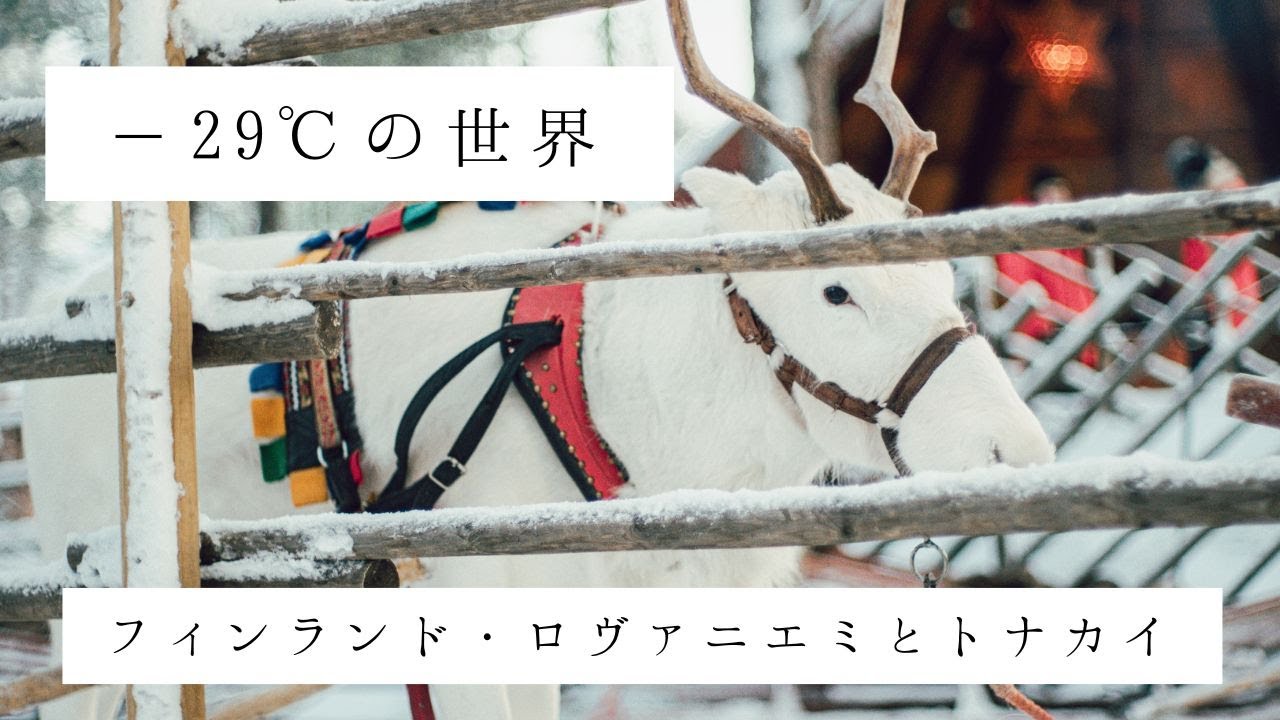 −29℃の世界｜フィンランド・ロヴァニエミとトナカイ
