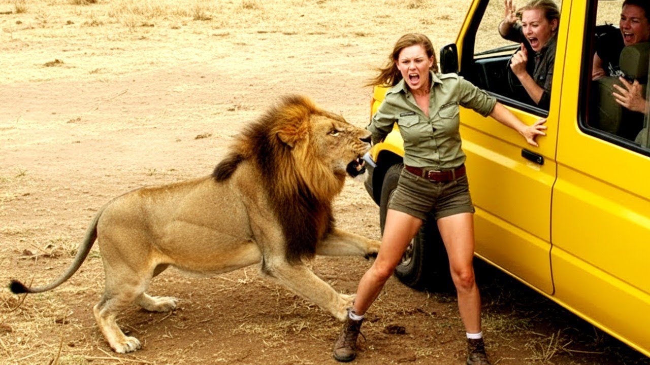 Quando os Animais Enlouquecem na Savana 😂 | Tente Não Rir (IMPOSSÍVEL)