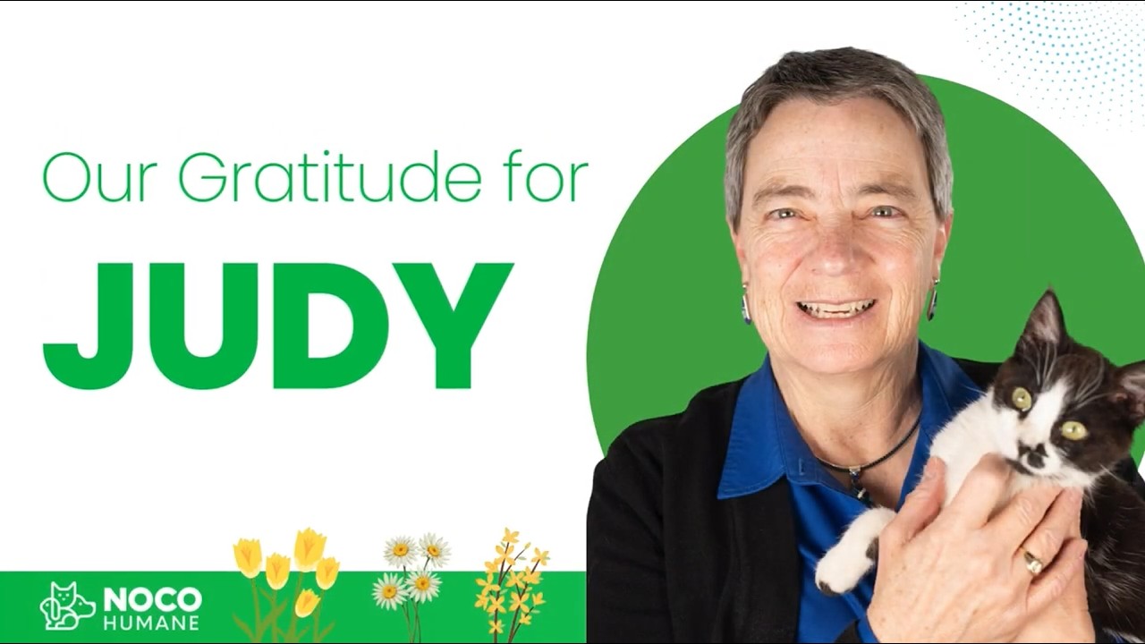 Celebrating Judy Calhoun