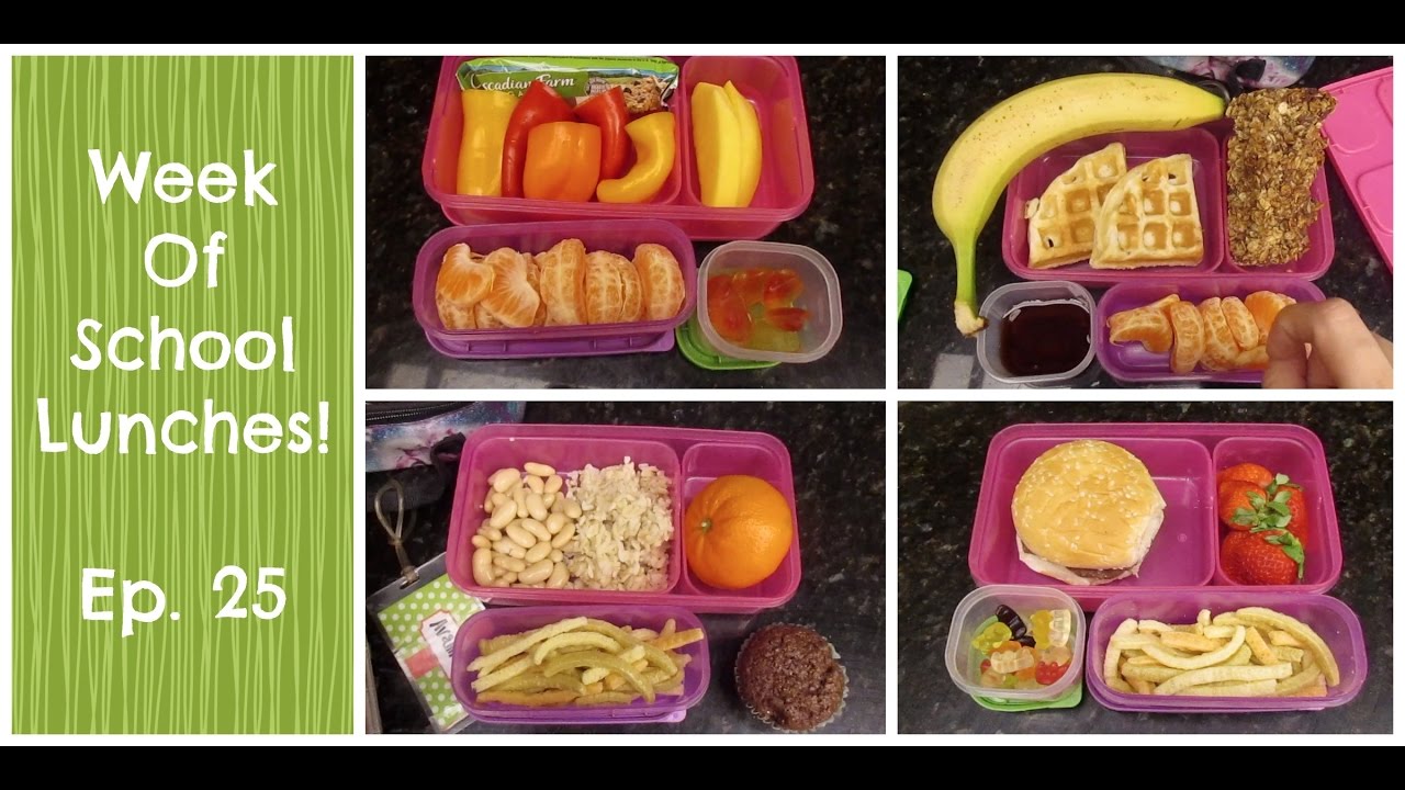 Yet Another Week of School Lunches!  So Exciting!