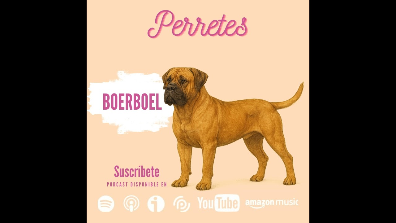 Ep93: Boerboel