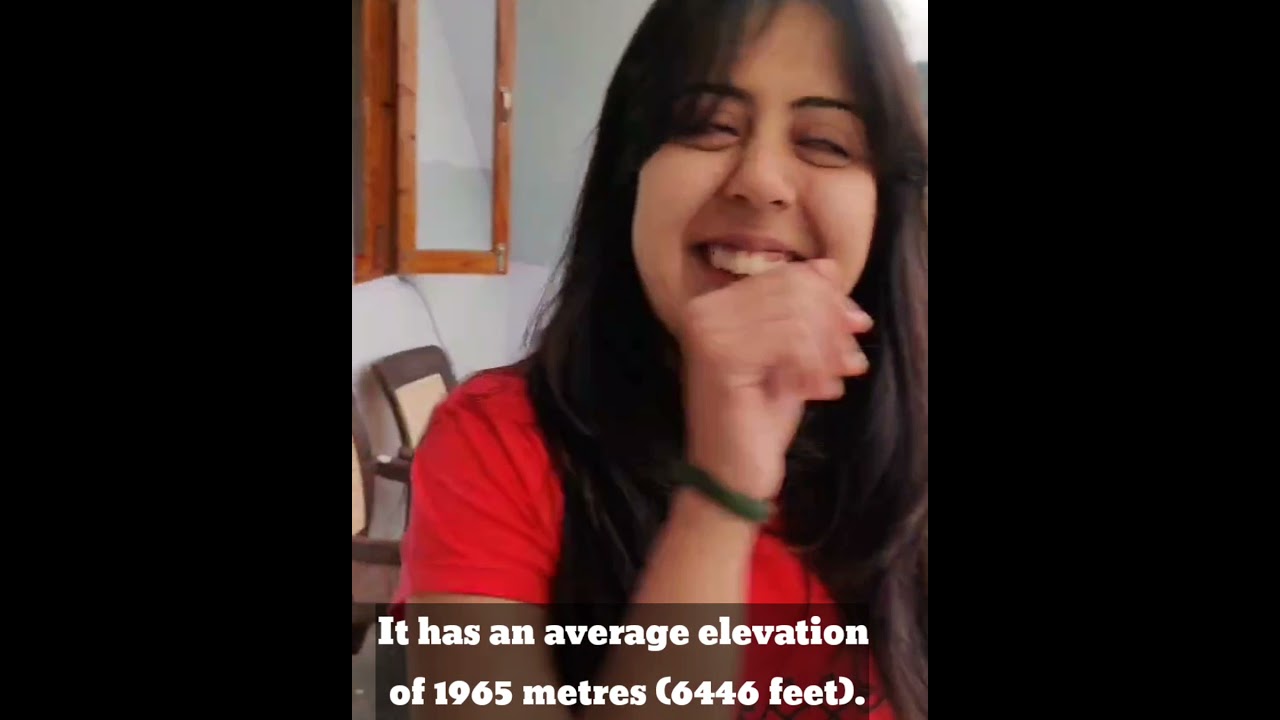 THEOG Shimla Himachal Pradesh #shorts #youtubeshorts #theog