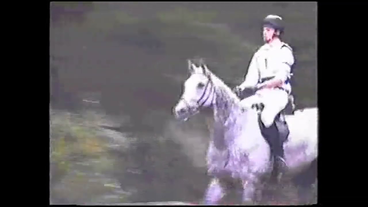 Mistrzostwa Europy Junior&oacute;w w WKKW, Stado Ogier&oacute;w Biały B&oacute;r 1998.