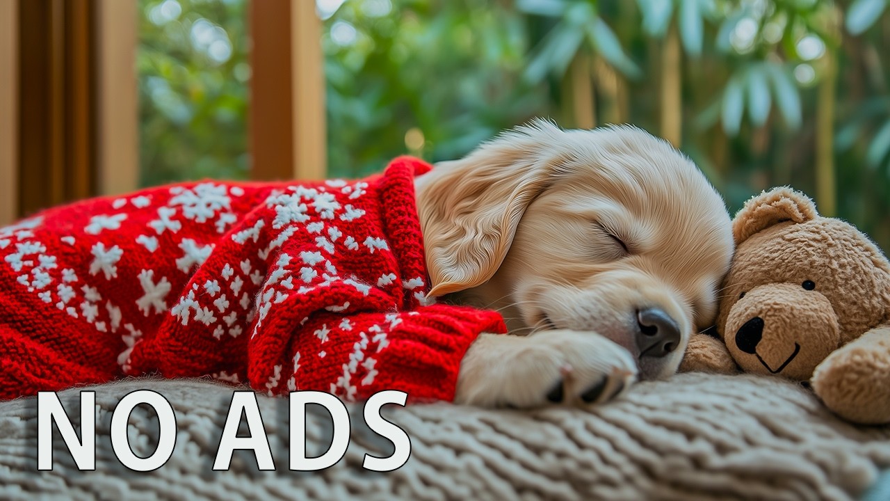 12 HOURS Dog Calming Music 🐶🌸 Healing Sleep Music for Dogs 🎶 Stress & Anxiety Relief 💤 No Ads