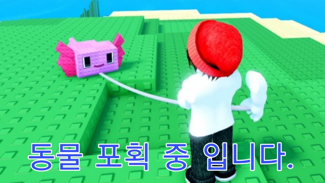잡아서 길들이기 [로블록스]