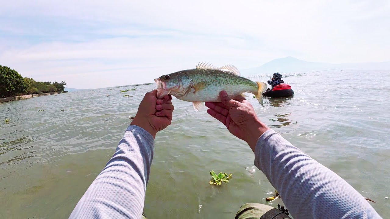 ¡ESTAMOS DE VUELTA! 🎣 PESCA ÉPICA en EL CHANTE, CHAPALA: ¡Los SEÑUELOS que NO FALLARON! 🔥