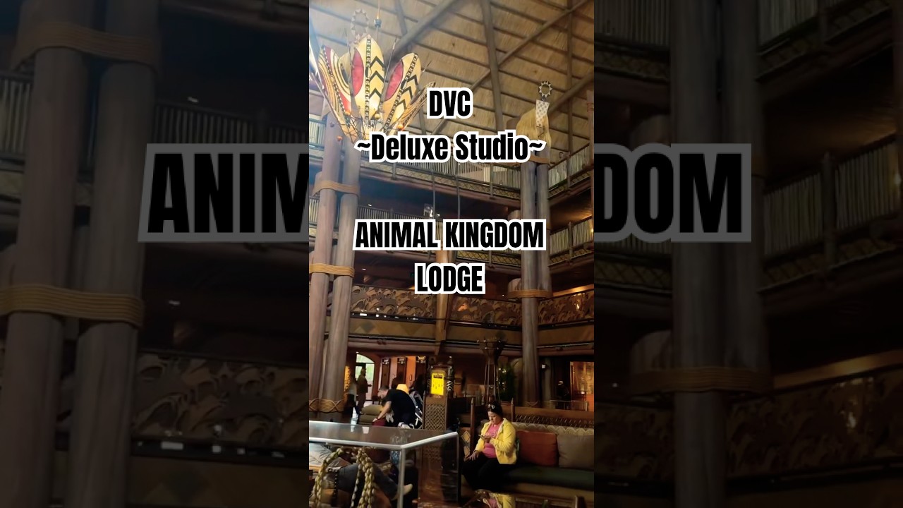 ✨ Приглашаем на экскурсию по номеру DVC Deluxe Studio в Jambo House, Disney&rsquo;s Animal Kingdom Lodg...