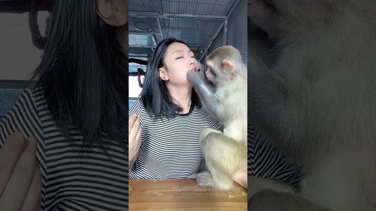 Monkey KAKO Ep 2023