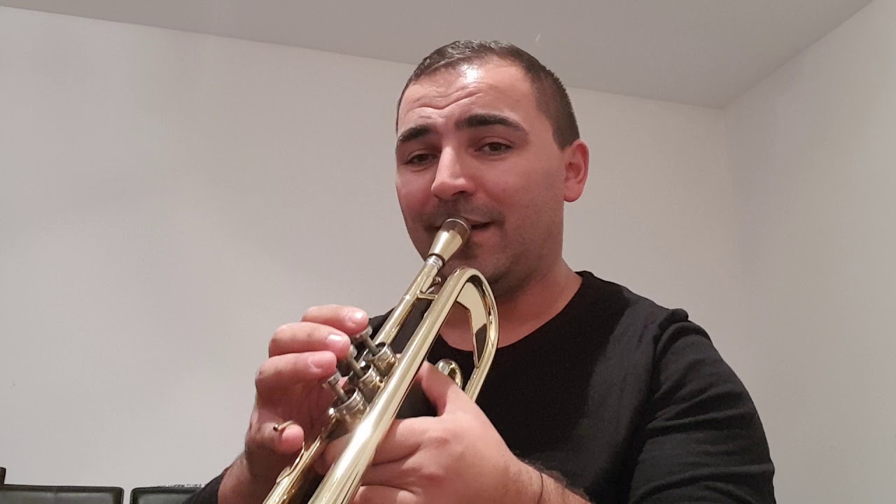 Tutorial Ista-i moldoveanul -Adriana Ochișanu. Trumpet.