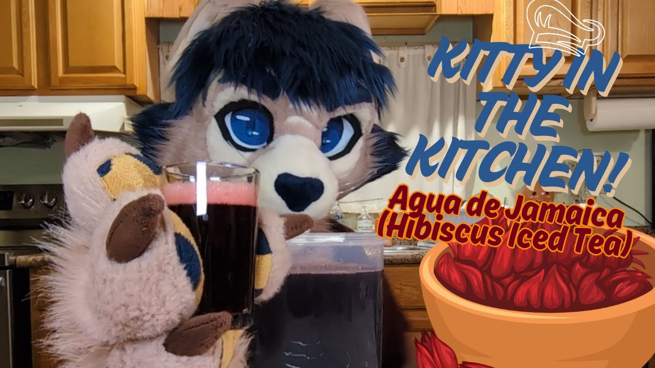 A Cat Shows You How to Make Agua de Jamaica!