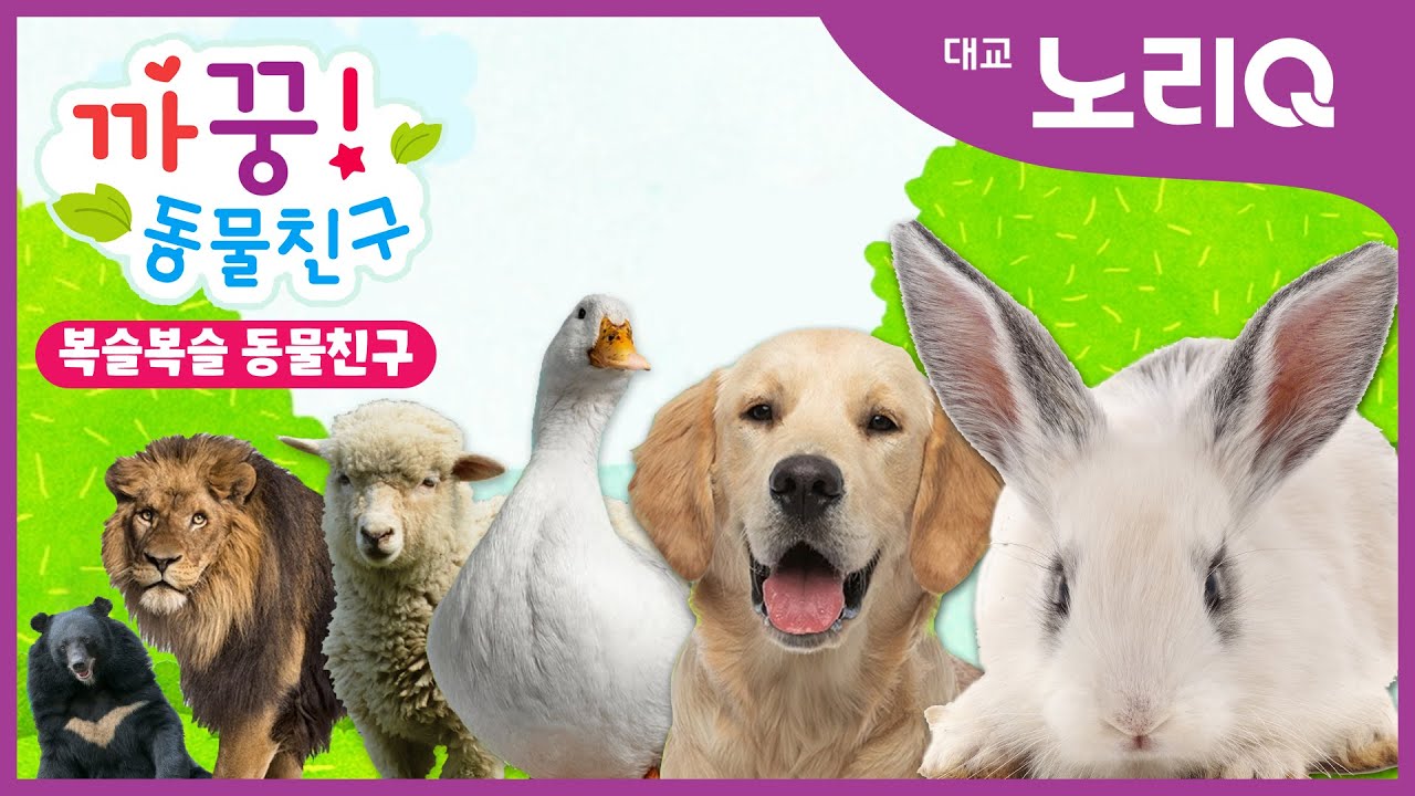 🙈🙉까꿍! 복슬복슬 동물친구ㅣ자연관찰ㅣ대교 노리QㅣBabies&KidsㅣPikaboo! Animal friendsㅣDaekyo noriQ