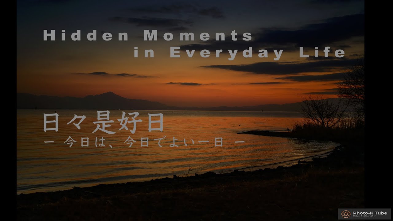 Hidden Moment in Everyday Life - 日々是好日 2026年2月1日