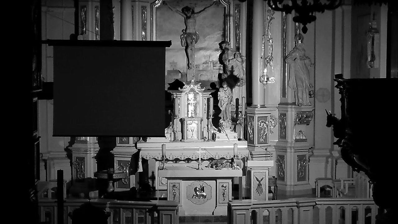 majdankrolewskieu – transmisja na żywo