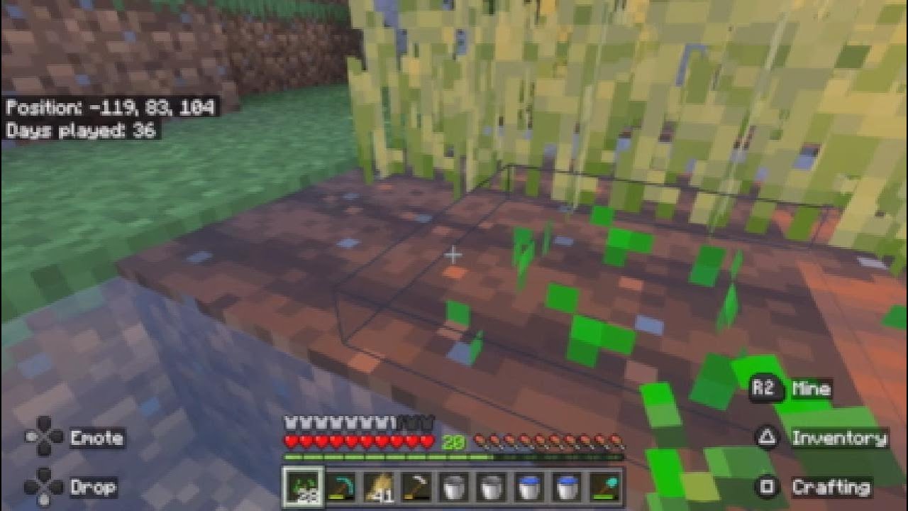 Survival on a cliff 3x5