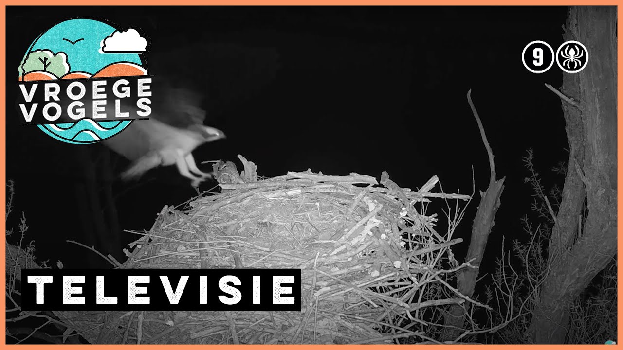 Beleef de Lente #5 | TV | Vroege Vogels