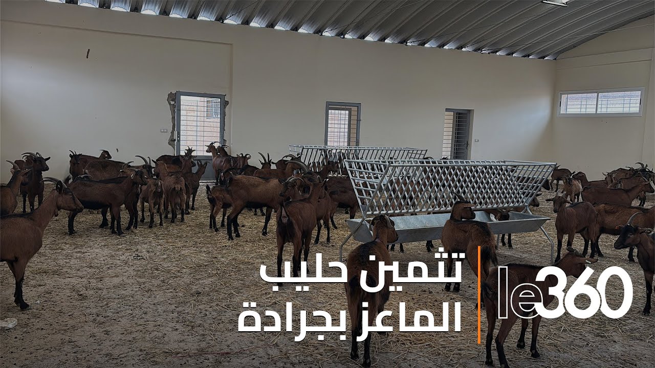 نساء بإقليم جرادة يصنعن 