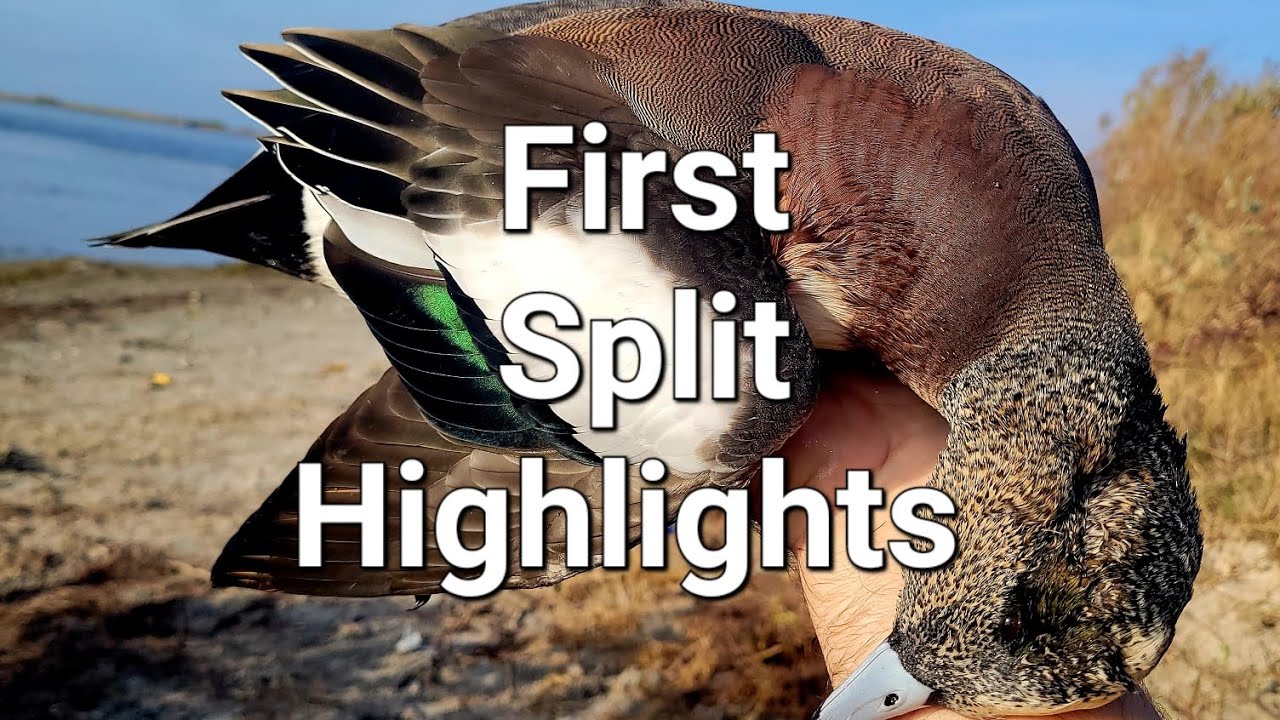 First Split Highlights | Texas Kayak Duck Hunting 25-26
