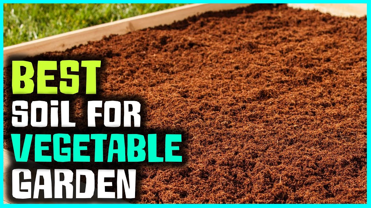 Best Soil for Vegetable Gardens in 2023 - Top 5 Review | Organic & Natural Soil