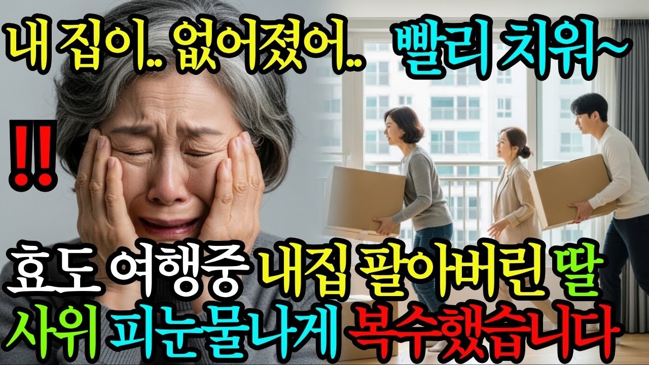“엄마 여행 다녀와요 ” 하와이로 칠순여행 보내놓고 집 팔아버린 딸 부부, 피눈물나게 복수한 할머니
