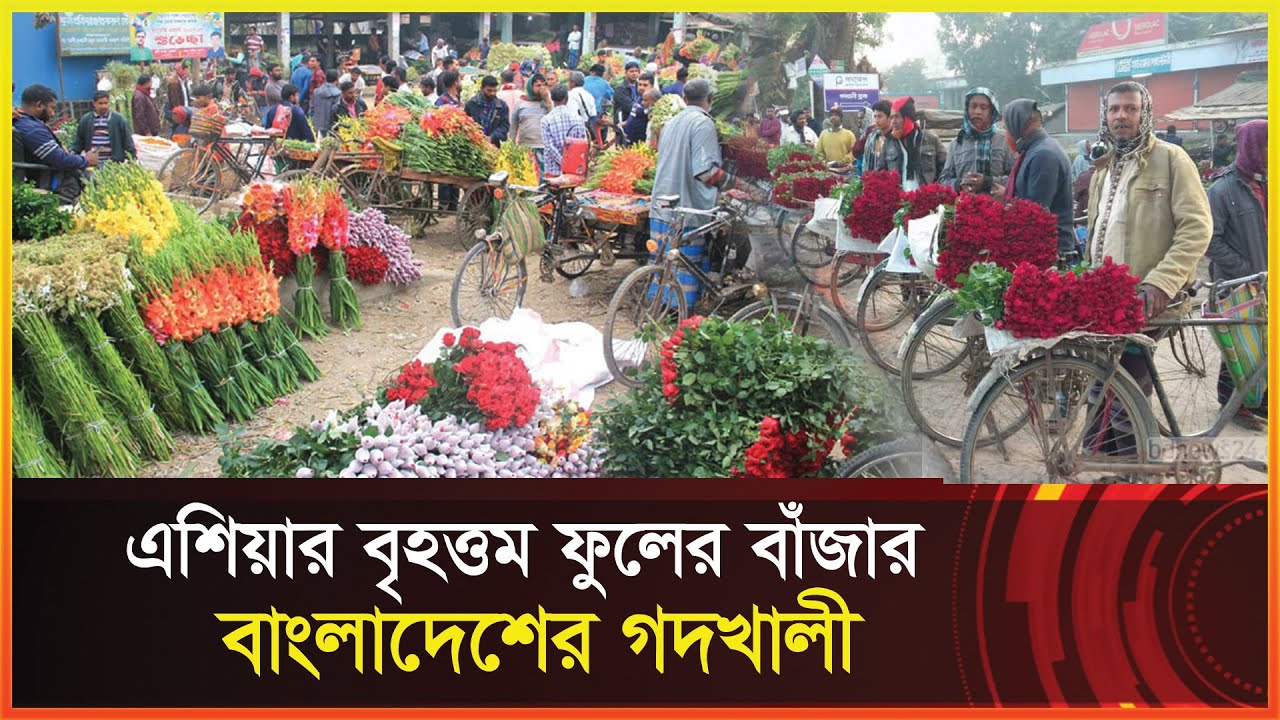 বাংলাদেশের বৃহত্তম ফুলের বাঁজার গদখালী !! ৩০০ কোটি টাকার হাতছানি !! Godkhali Floower Market