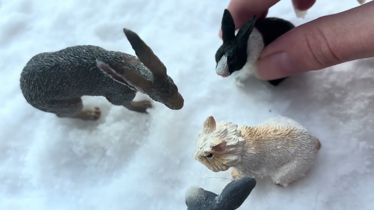 A Rabbit Story / Part 5