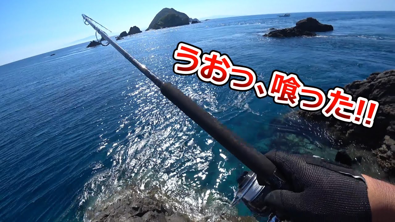 モンスター級ロックフィッシュが超絶ボイル！？ワームをぶち込んだら超高級魚が！！