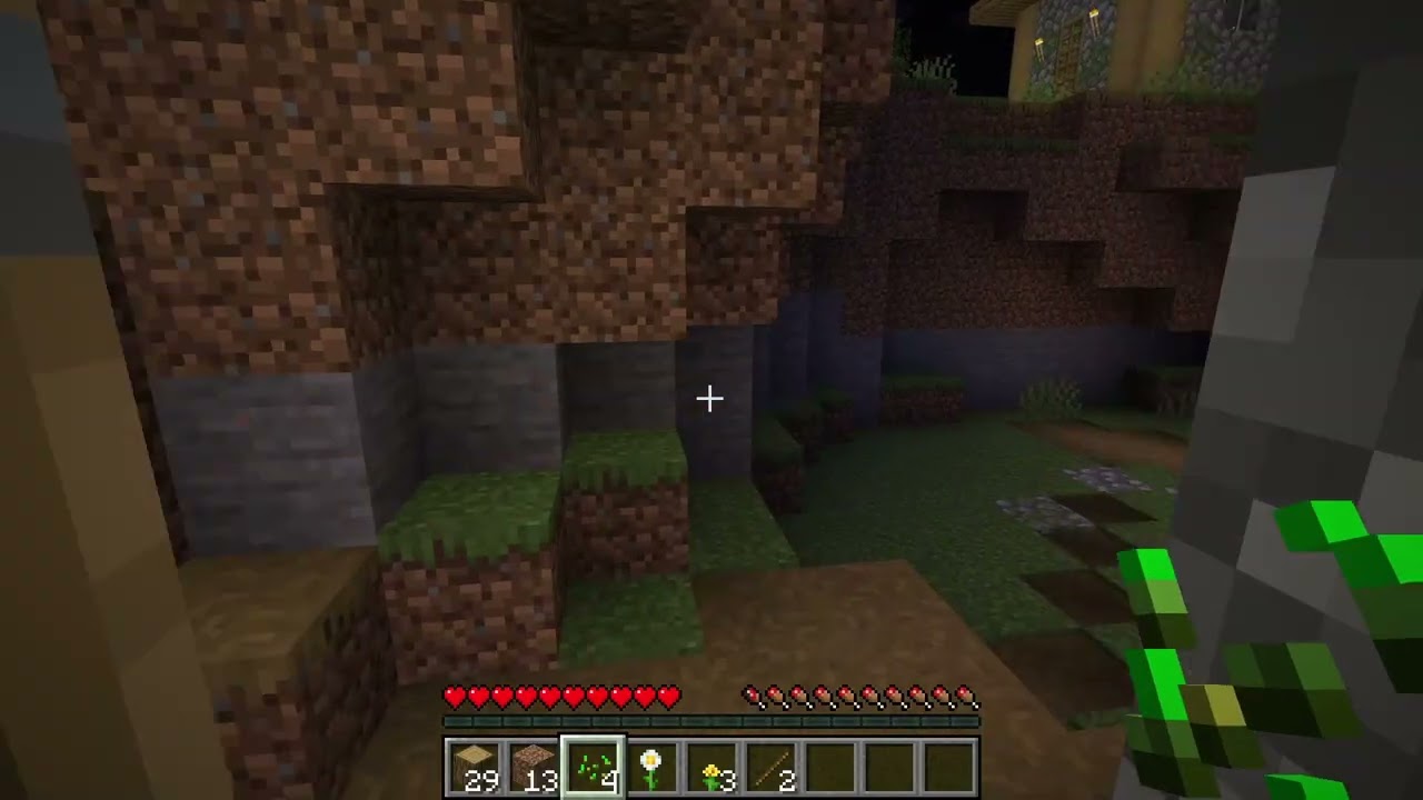 LA DEDICA PER IL CANE..MINECRAFT VANILLA