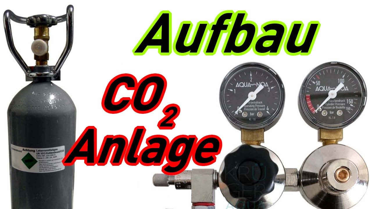 CO2 Anlage richtig aufbauen und anschließen - Aufbau einer CO2 Mehrweganlage für dein Aquarium