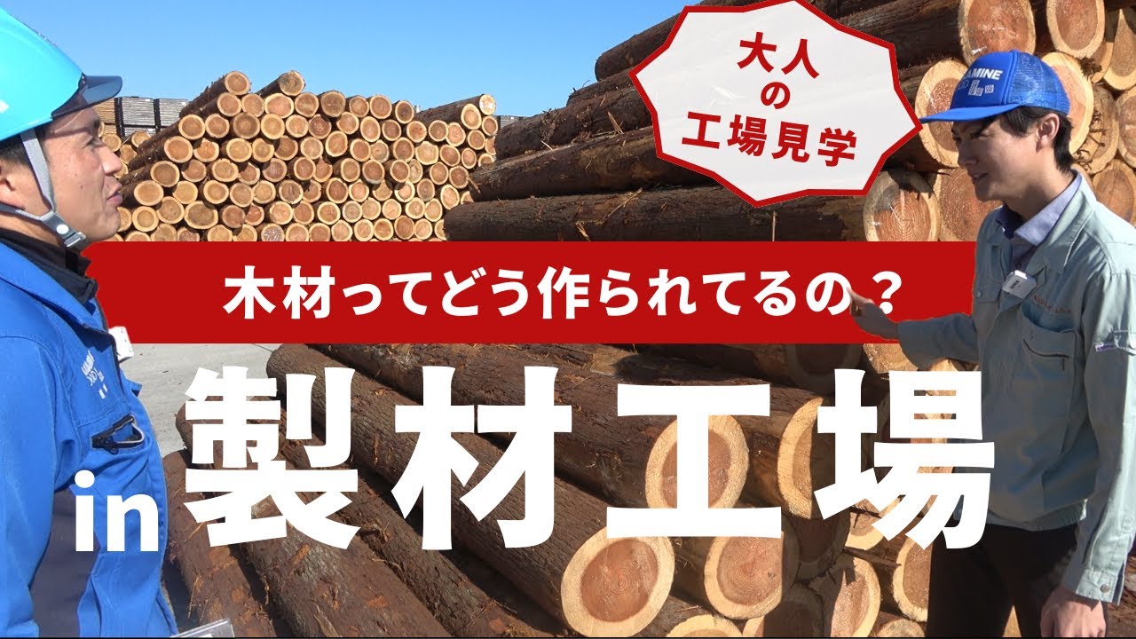 【工場潜入】いい家は良い木材から！製材工場に工場見学！