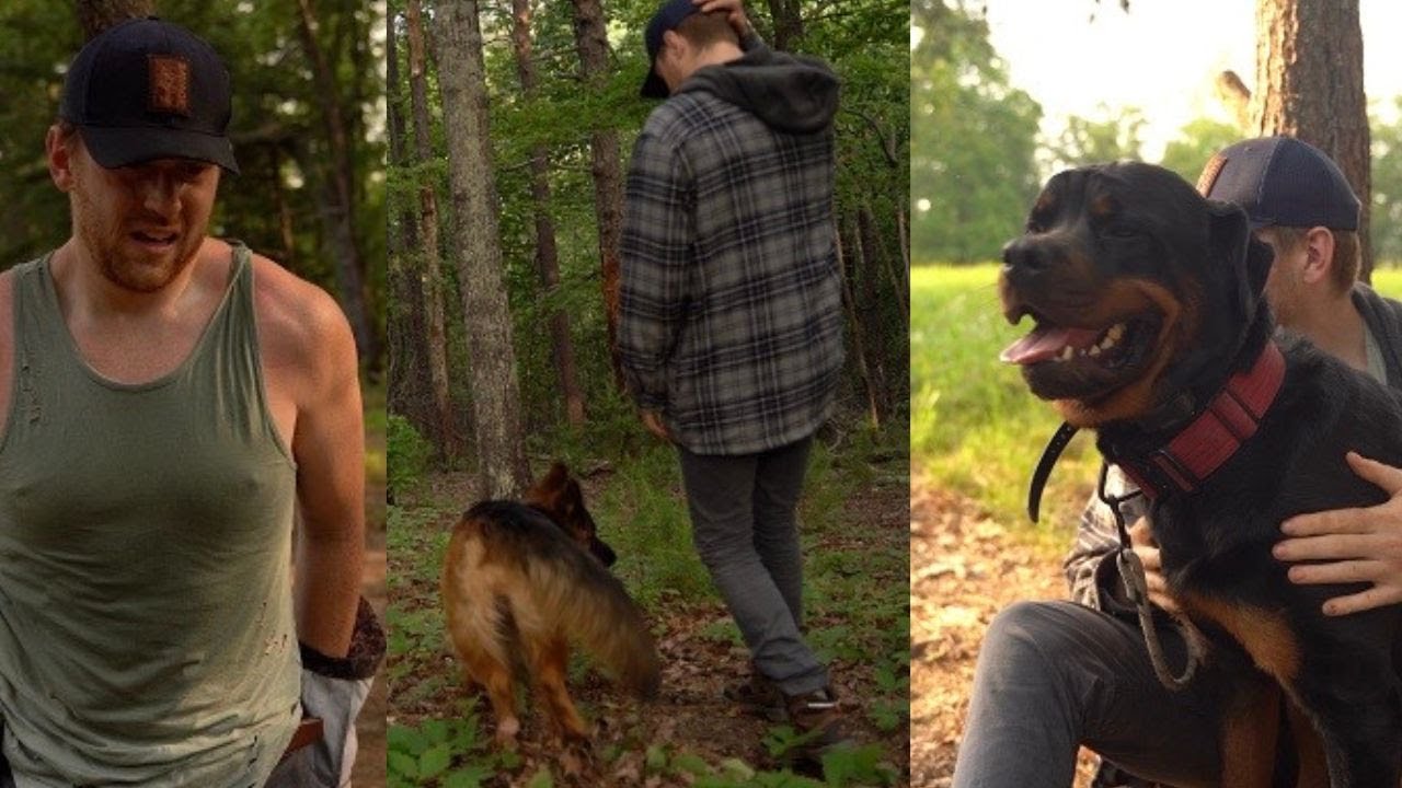 Camping with my Rottweiler and German Shepherd!