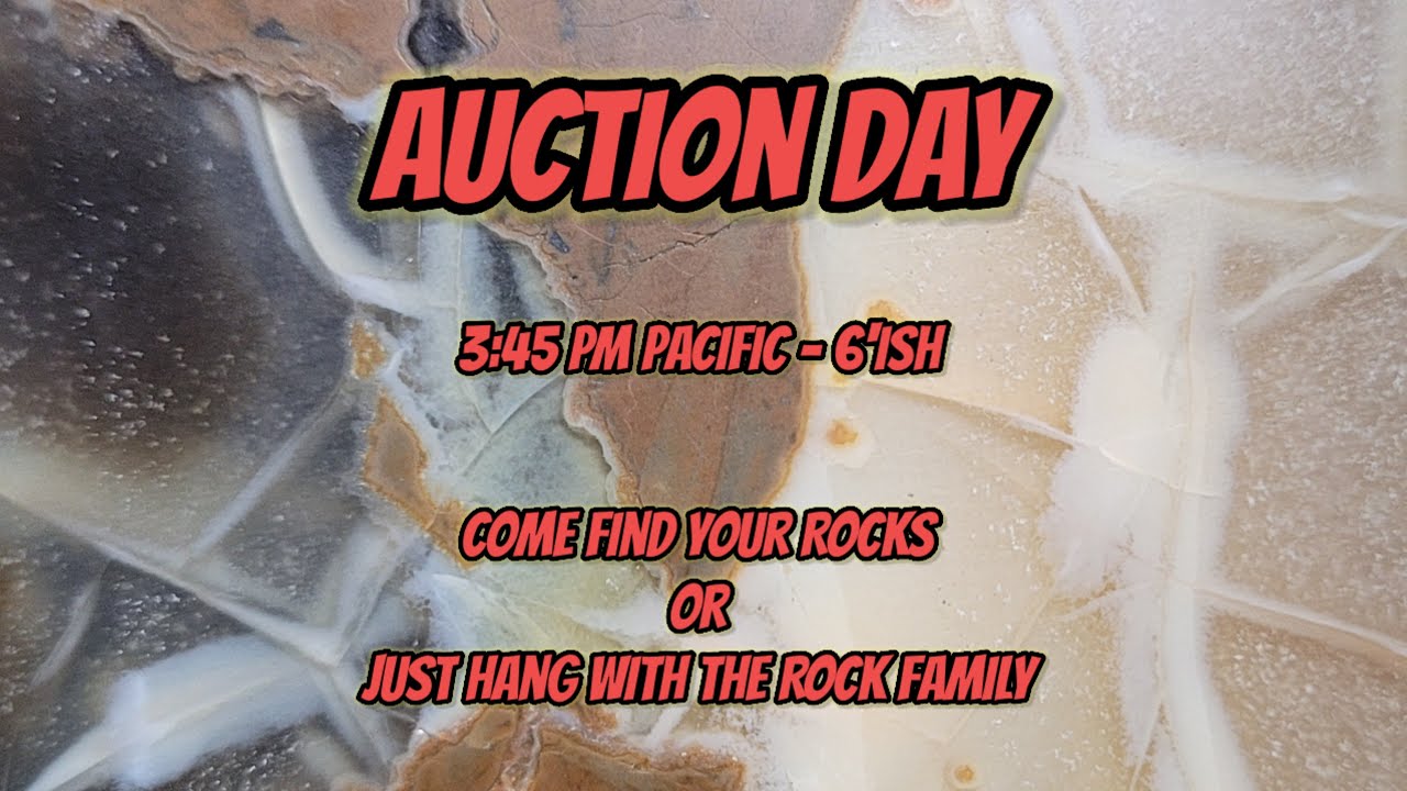 Auction 5, During 5 Days of Fun with Fred